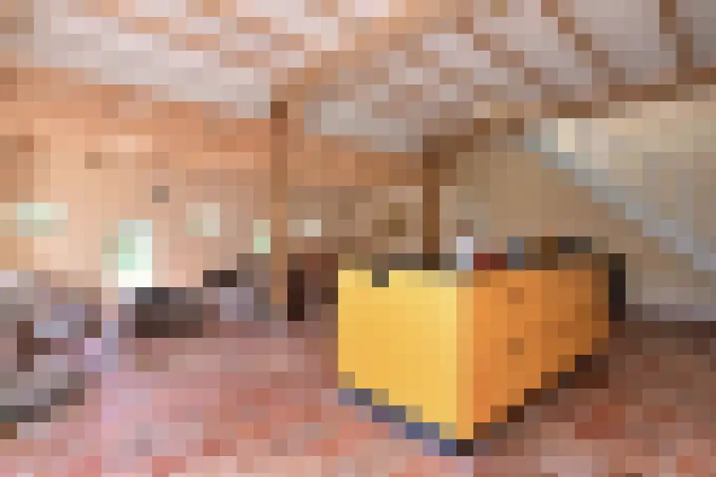 Schaarsweg 5 Nieuw Heeten thumbnail 15