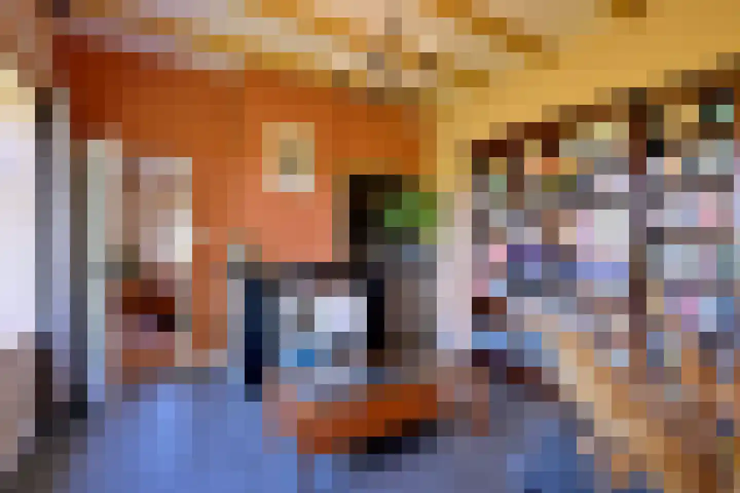 Schaarsweg 5 Nieuw Heeten thumbnail 20