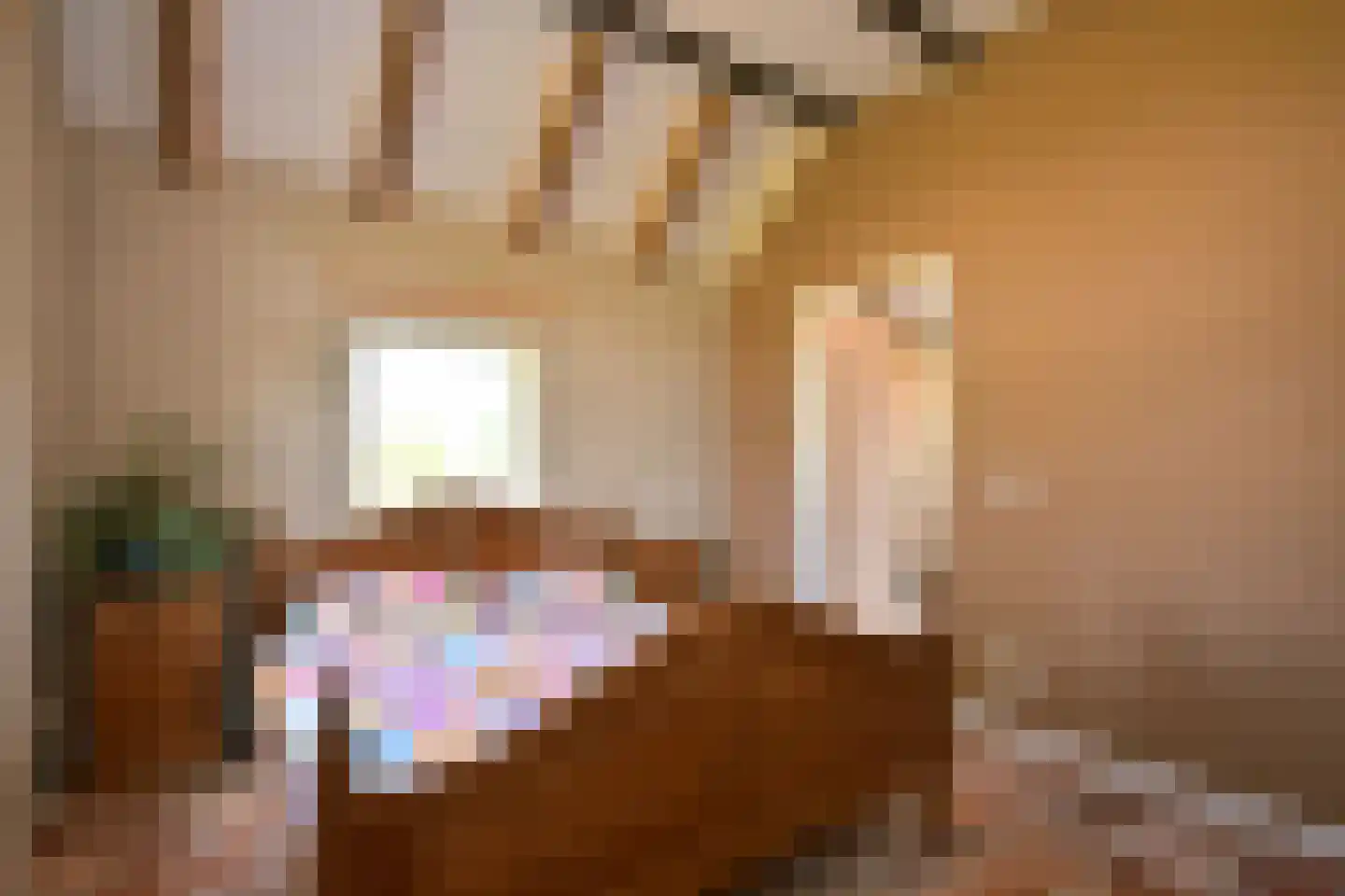 Schaarsweg 5 Nieuw Heeten thumbnail 21