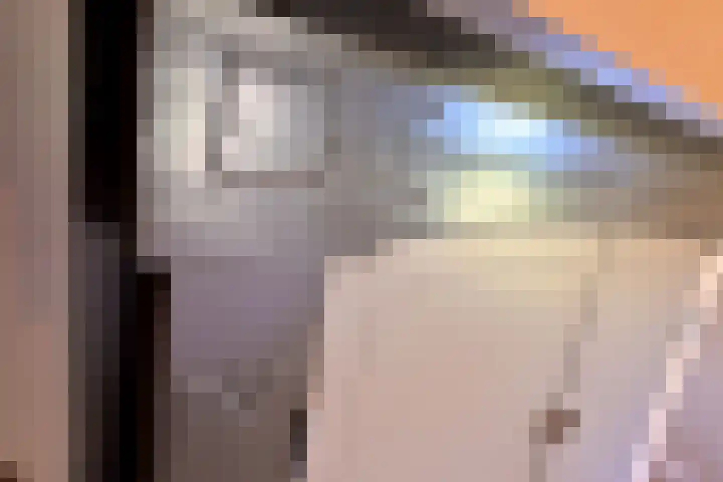 Schaarsweg 5 Nieuw Heeten thumbnail 22