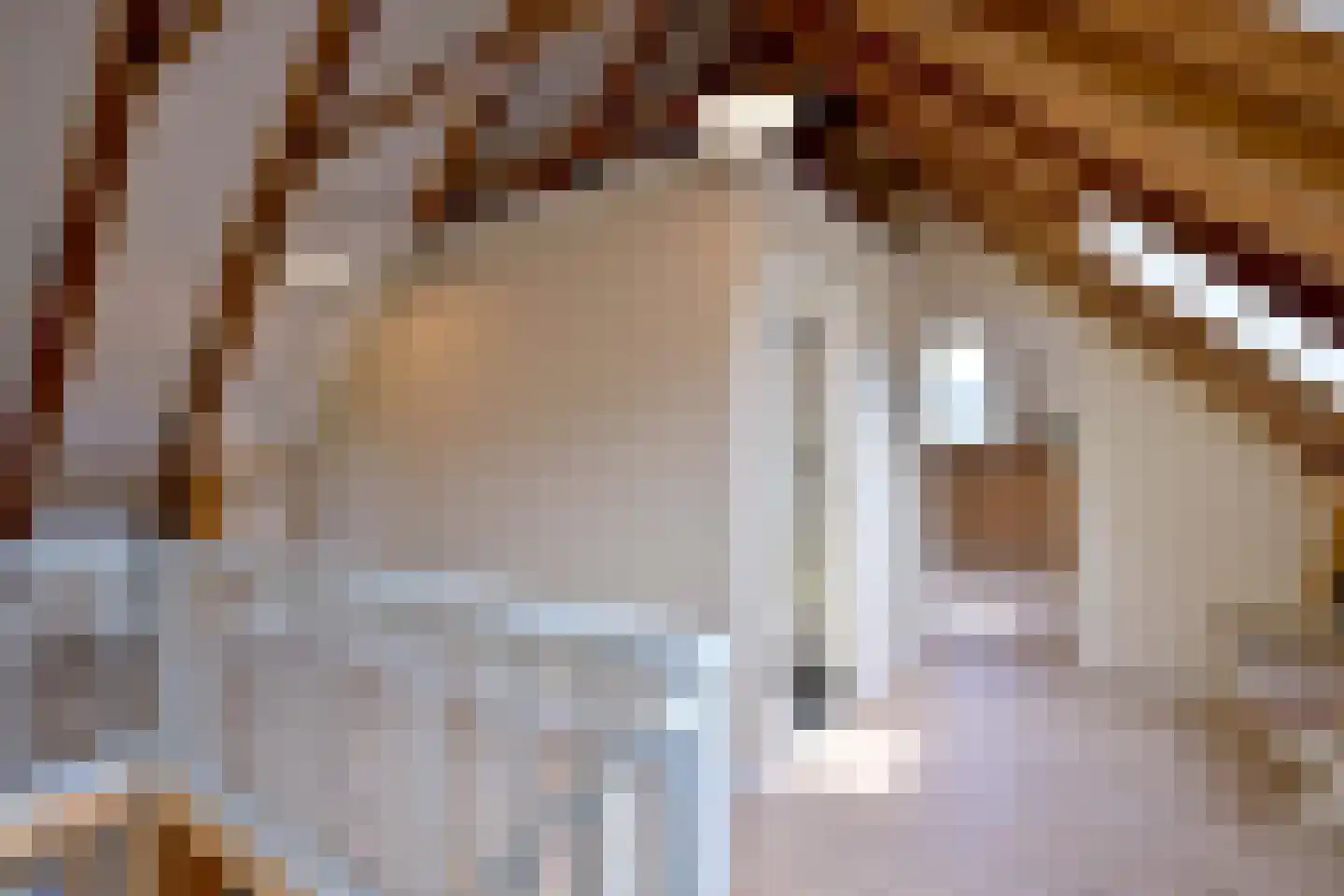 Schaarsweg 5 Nieuw Heeten thumbnail 24