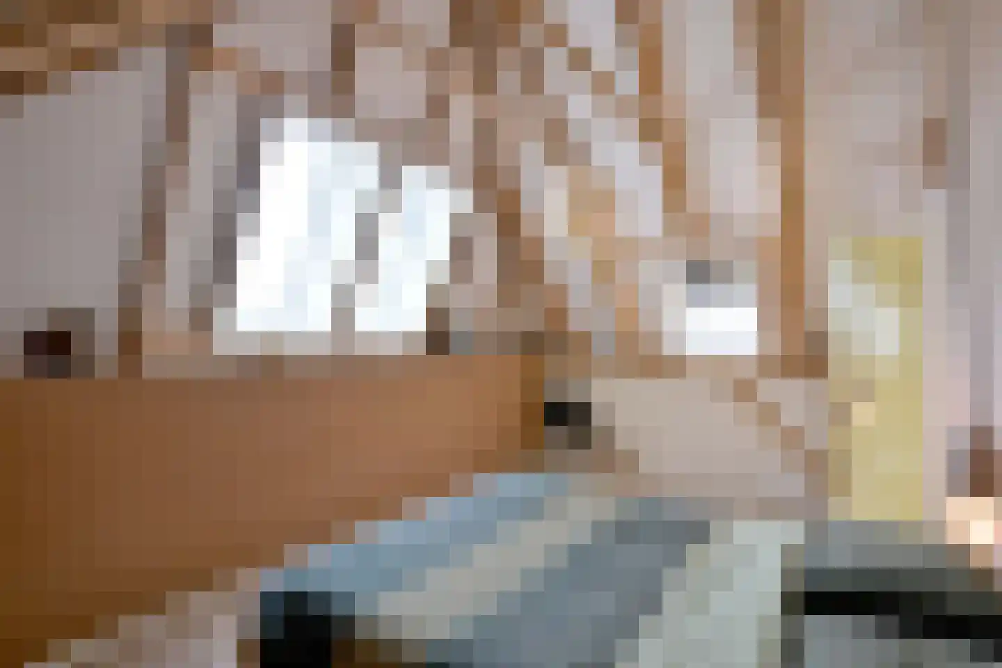 Schaarsweg 5 Nieuw Heeten thumbnail 25