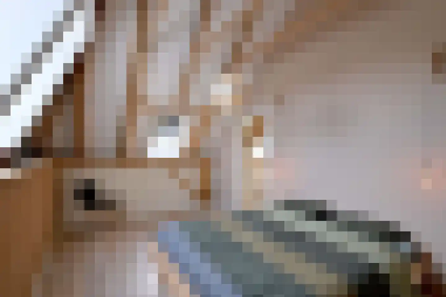 Schaarsweg 5 Nieuw Heeten thumbnail 26
