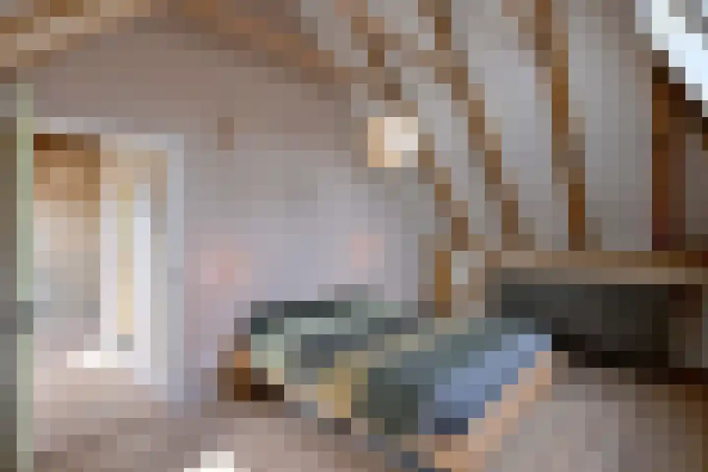 Schaarsweg 5 Nieuw Heeten thumbnail 27