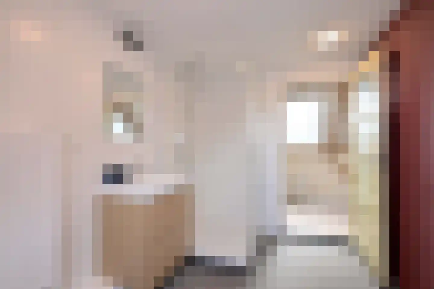 Schaarsweg 5 Nieuw Heeten thumbnail 29