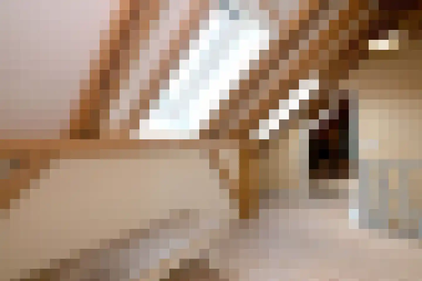 Schaarsweg 5 Nieuw Heeten thumbnail 30