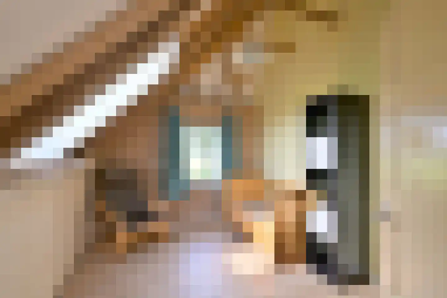 Schaarsweg 5 Nieuw Heeten thumbnail 31