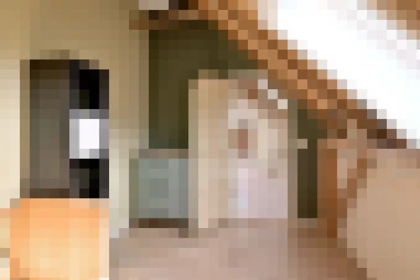 Schaarsweg 5 Nieuw Heeten thumbnail 32