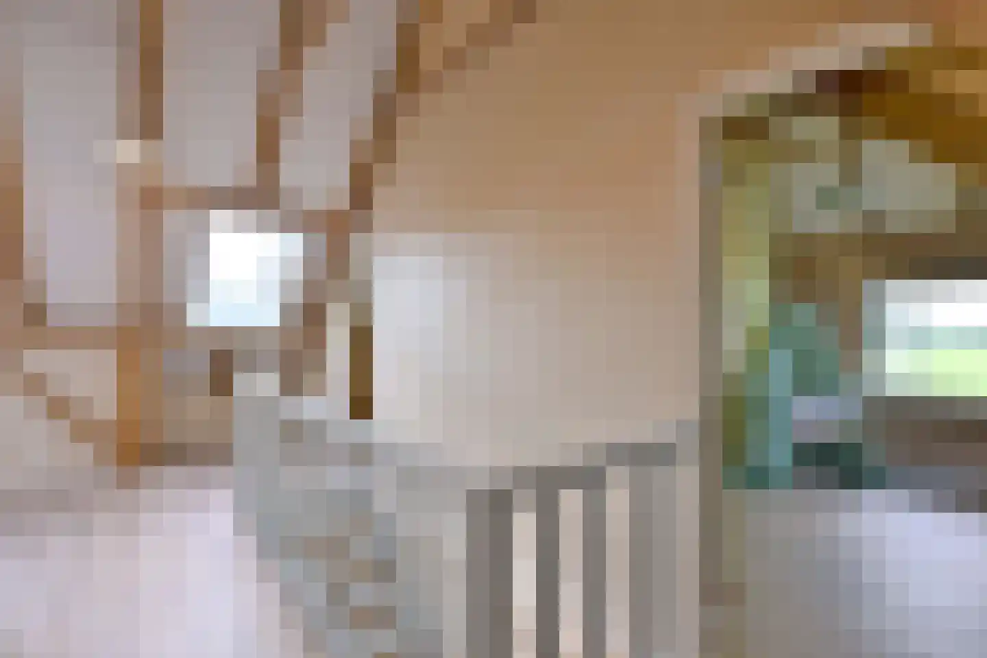 Schaarsweg 5 Nieuw Heeten thumbnail 33