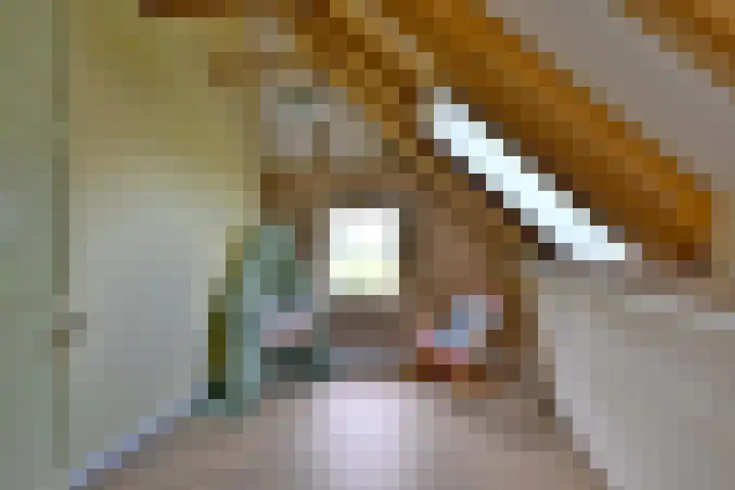 Schaarsweg 5 Nieuw Heeten thumbnail 34