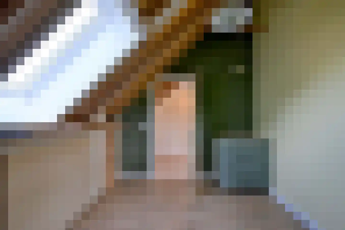 Schaarsweg 5 Nieuw Heeten thumbnail 35