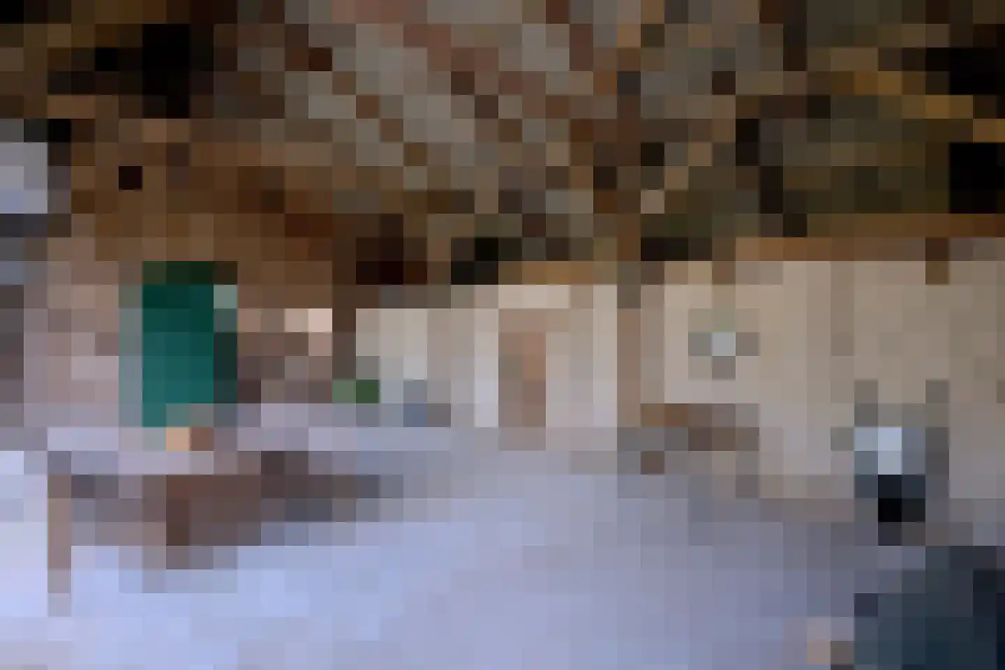 Schaarsweg 5 Nieuw Heeten thumbnail 38