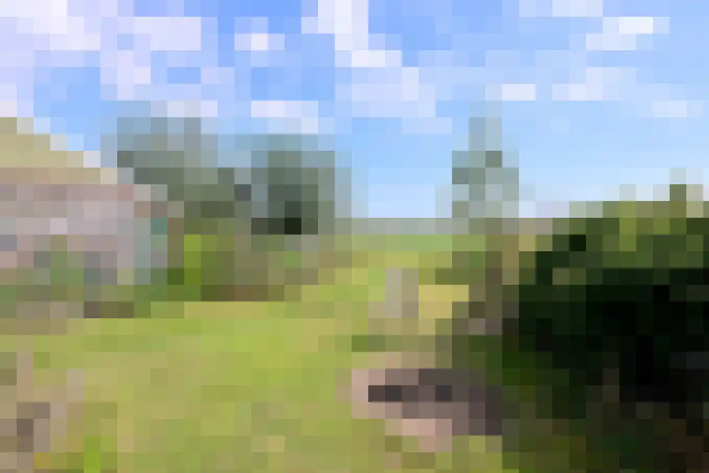 Schaarsweg 5 Nieuw Heeten thumbnail 42