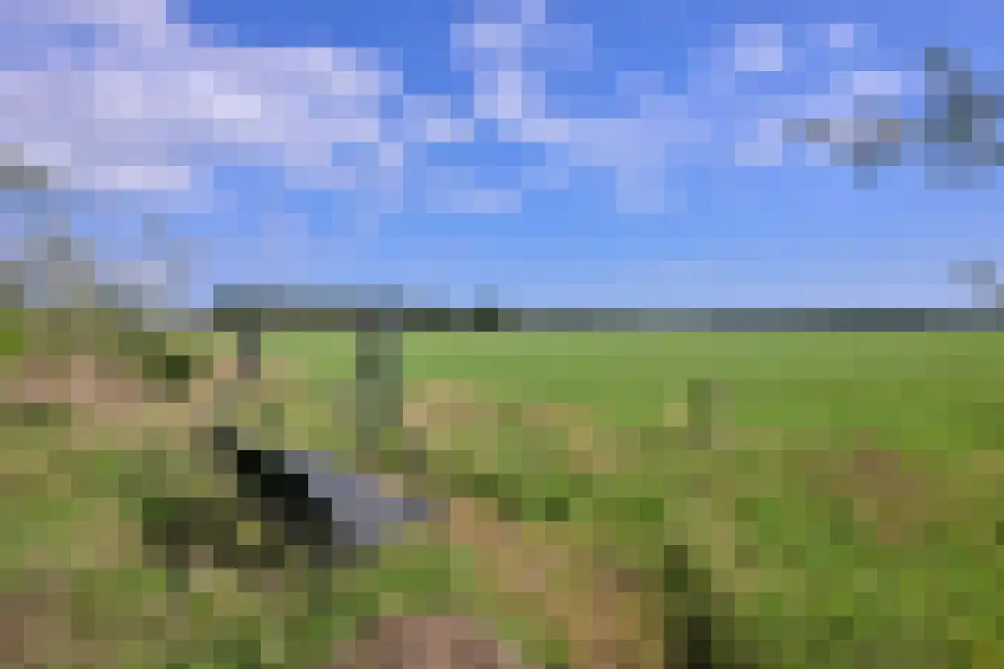 Schaarsweg 5 Nieuw Heeten thumbnail 43