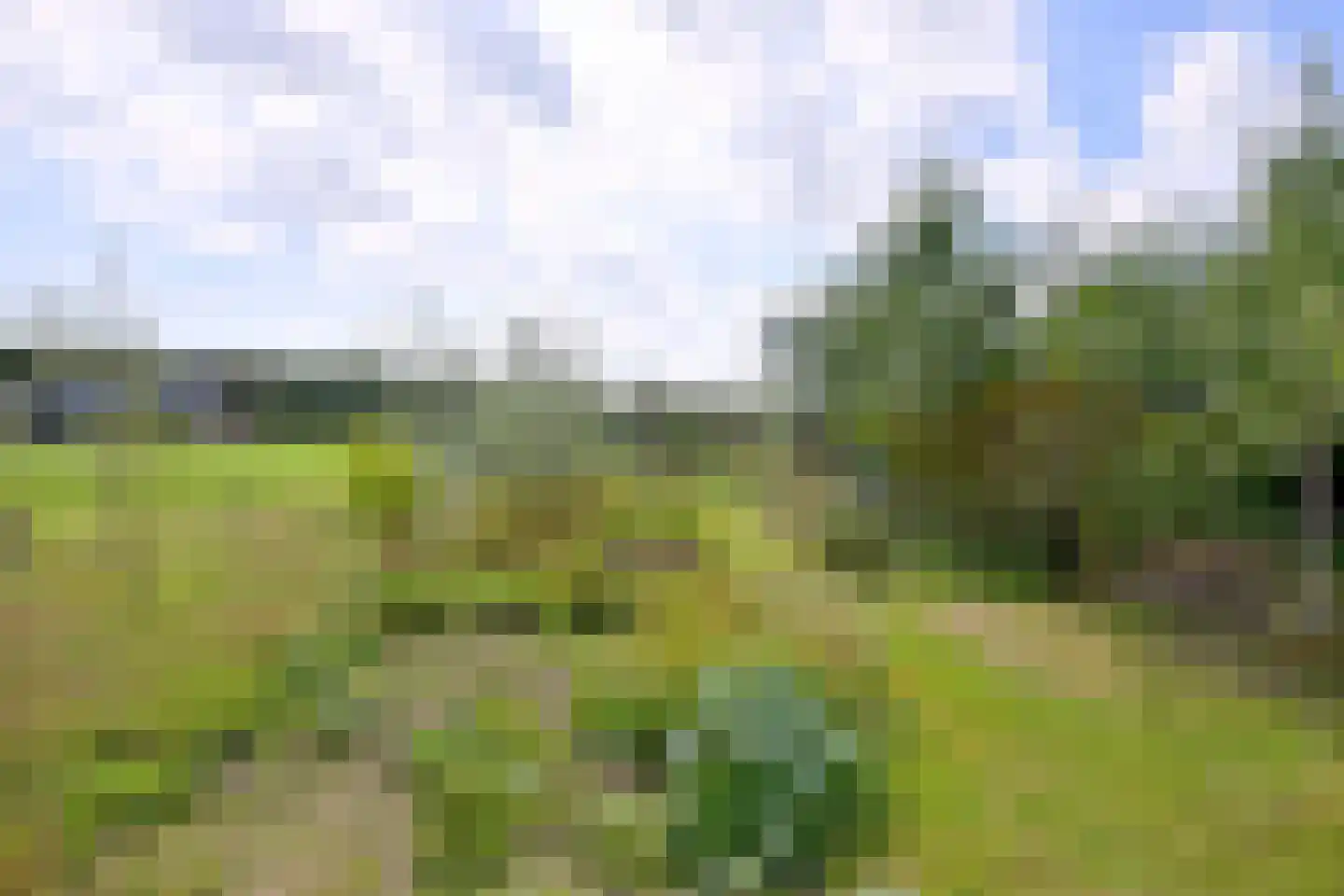 Schaarsweg 5 Nieuw Heeten thumbnail 44