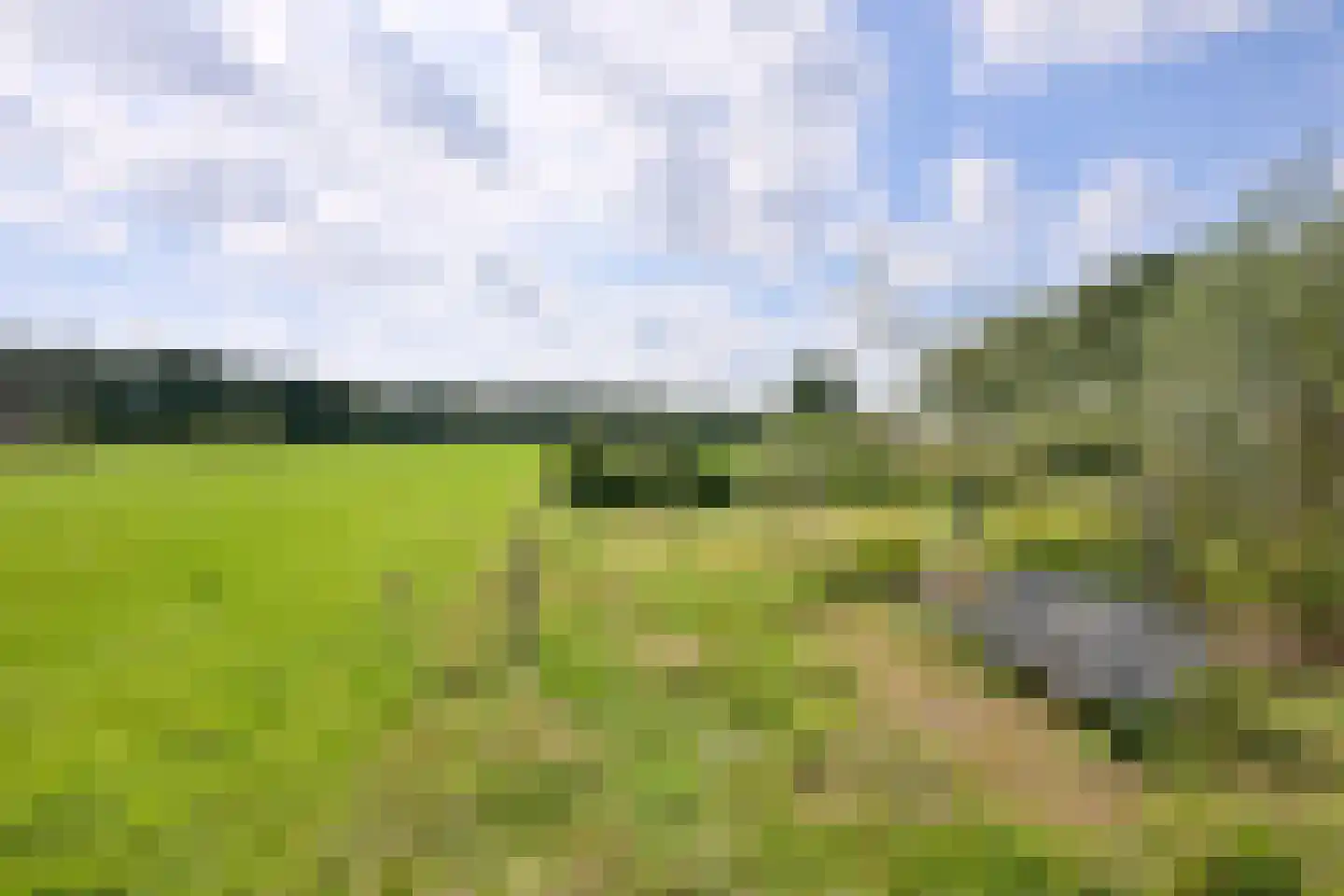 Schaarsweg 5 Nieuw Heeten thumbnail 45