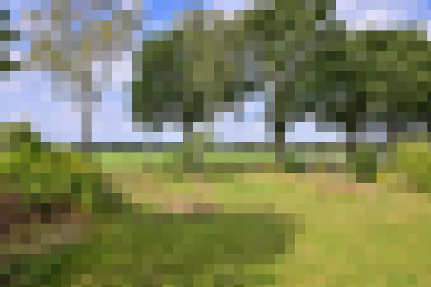 Schaarsweg 5 Nieuw Heeten thumbnail 46