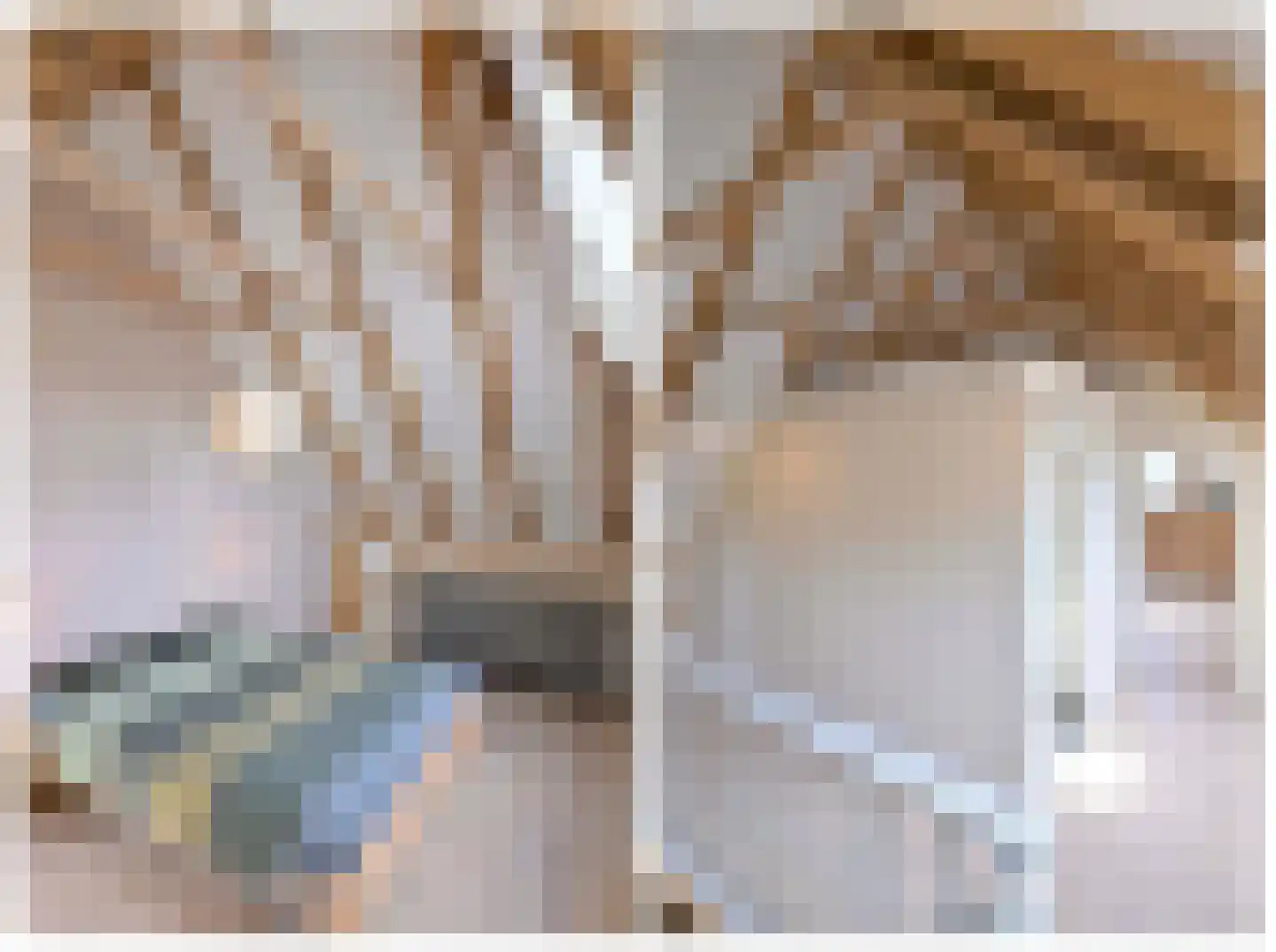 Schaarsweg 5 Nieuw Heeten thumbnail 7