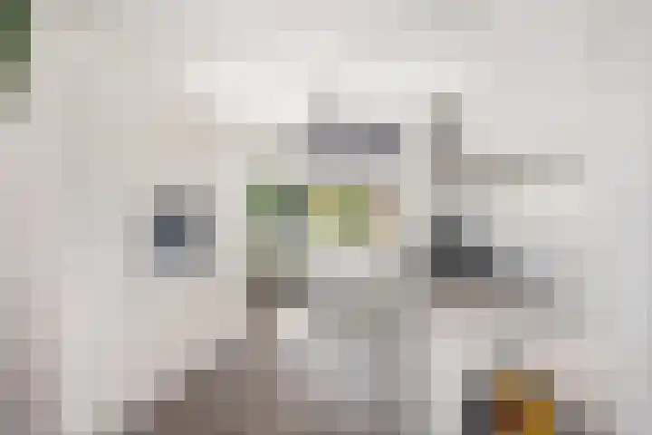 Schaarwei 21 Barendrecht thumbnail 10