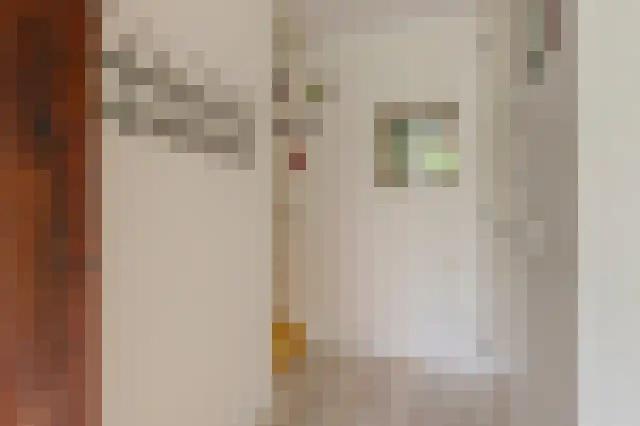 Schaarweide 1 Reeuwijk thumbnail 14