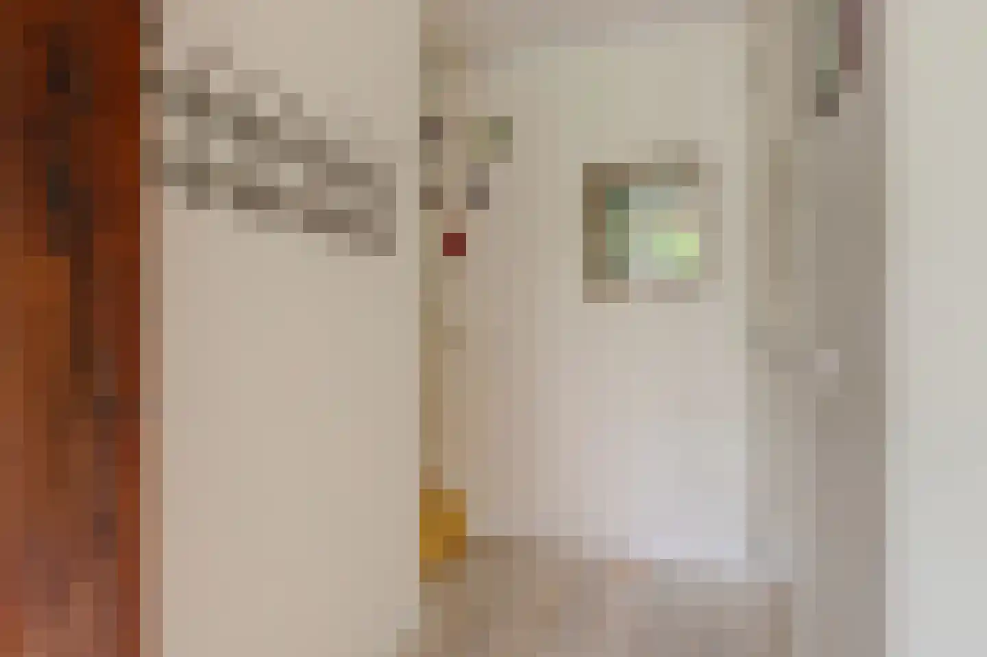 Schaarweide 1 Reeuwijk thumbnail 14