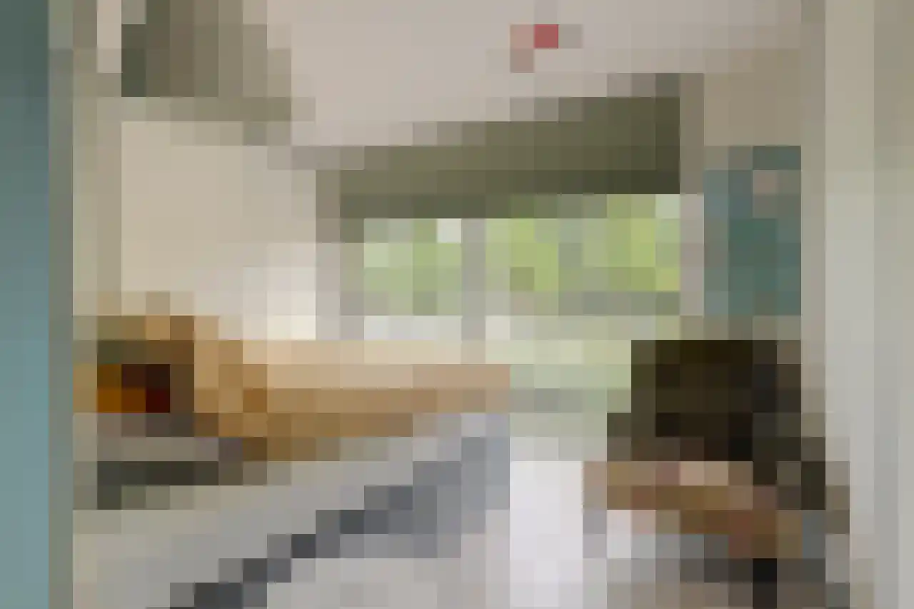Schaarweide 1 Reeuwijk thumbnail 17