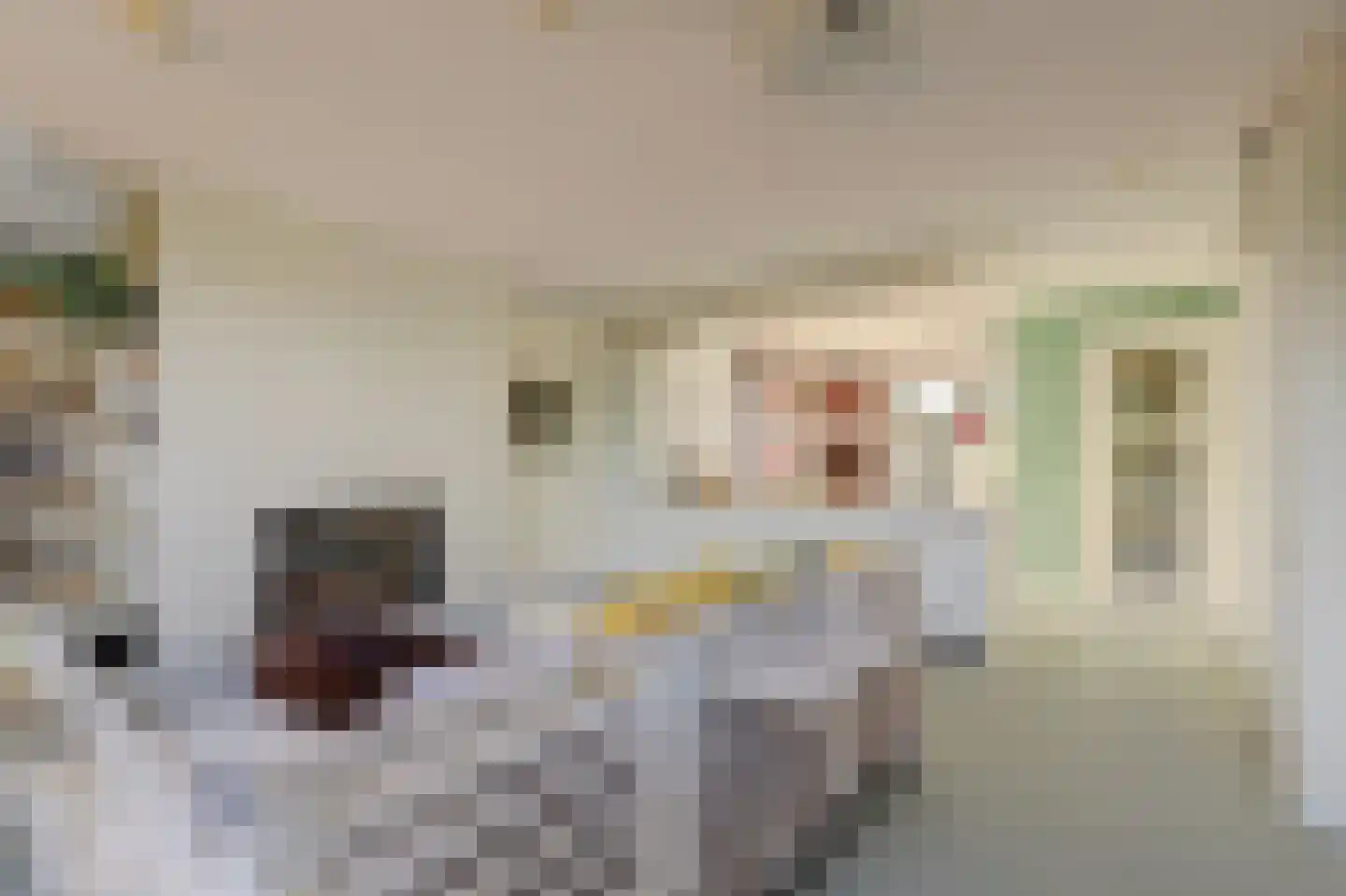 Schaarweide 1 Reeuwijk thumbnail 25