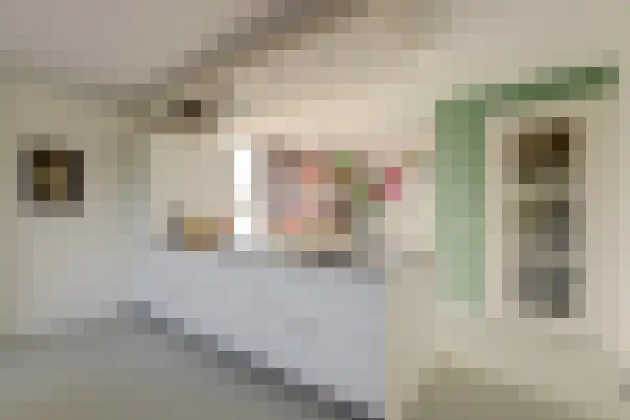 Schaarweide 1 Reeuwijk thumbnail 26