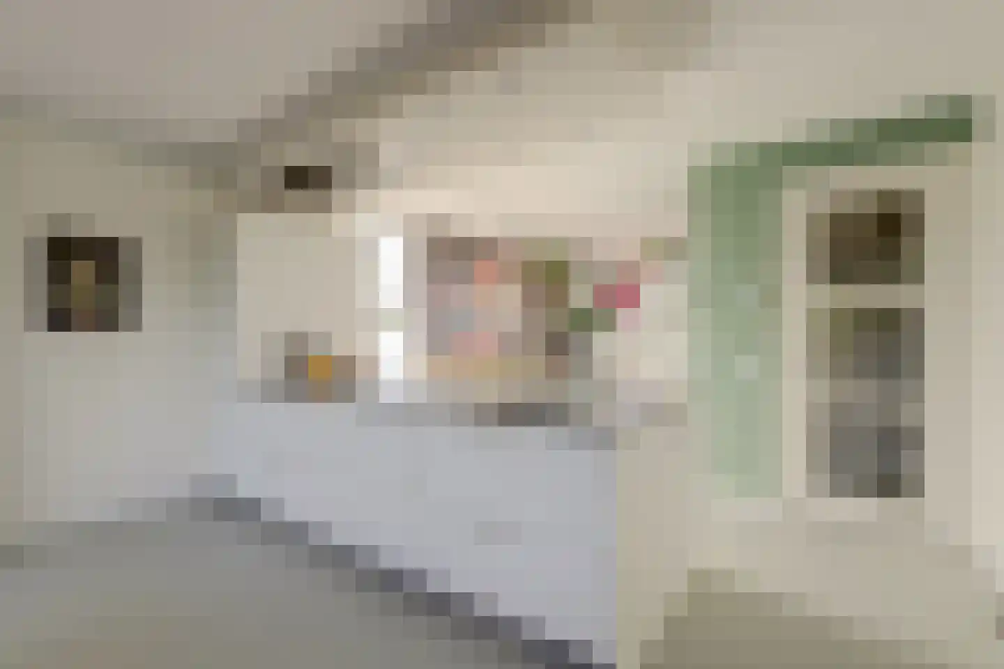 Schaarweide 1 Reeuwijk thumbnail 26