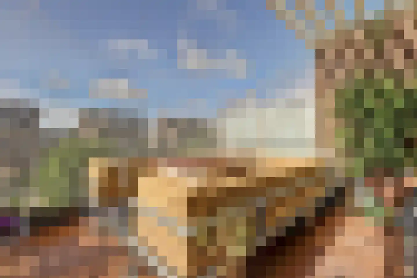 Schaarweide 1 Reeuwijk thumbnail 32