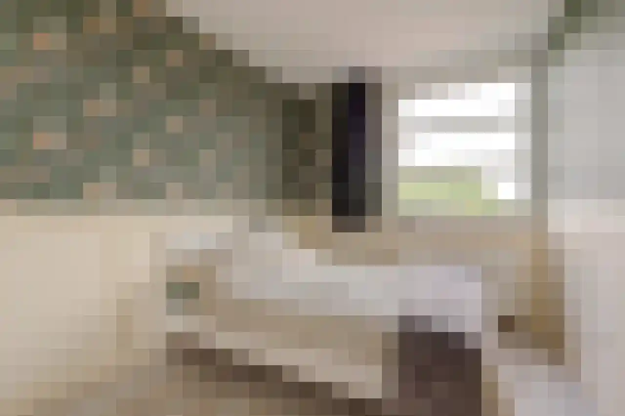 Schaarweide 1 Reeuwijk thumbnail 38