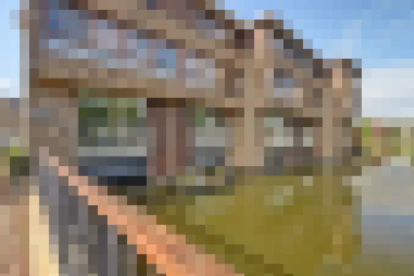 Schaarweide 1 Reeuwijk thumbnail 48