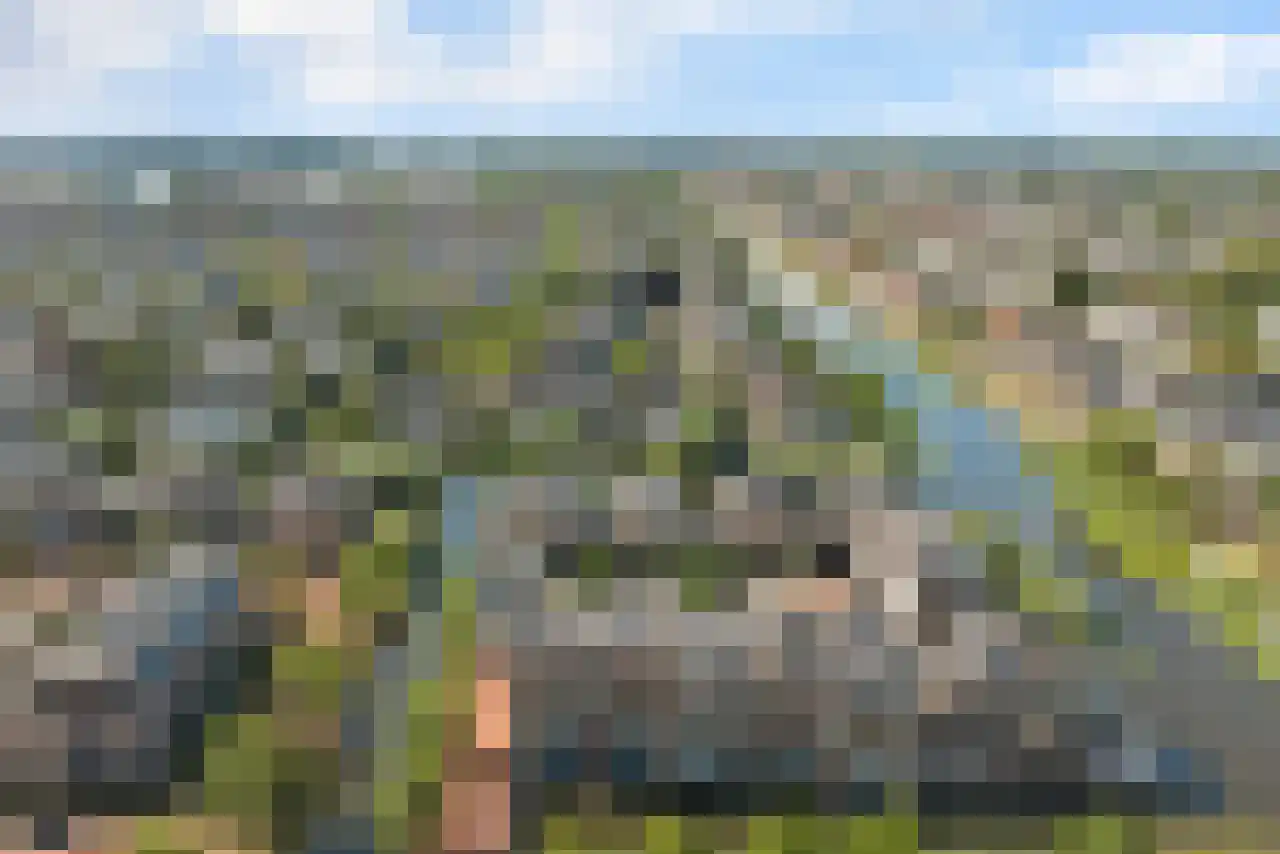 Schaarweide 1 Reeuwijk thumbnail 49