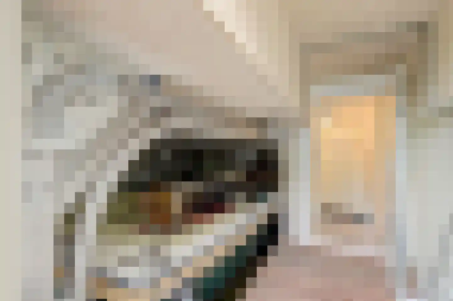 Schaarweide 1 Reeuwijk thumbnail 51