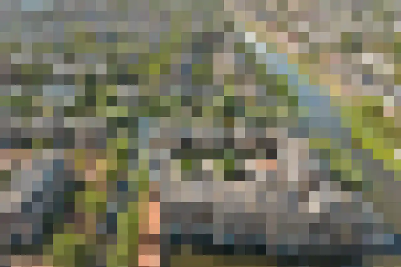 Schaarweide 1 Reeuwijk thumbnail 51