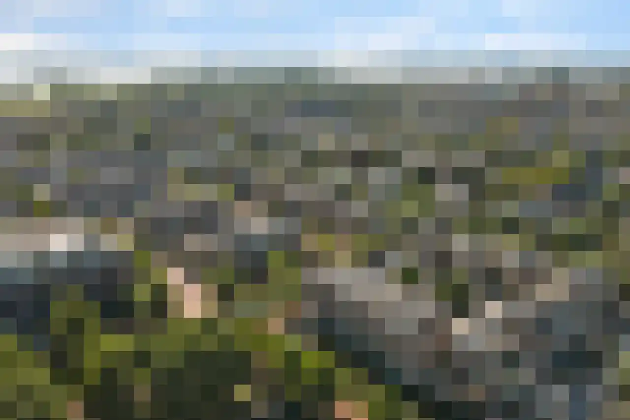 Schaarweide 1 Reeuwijk thumbnail 52