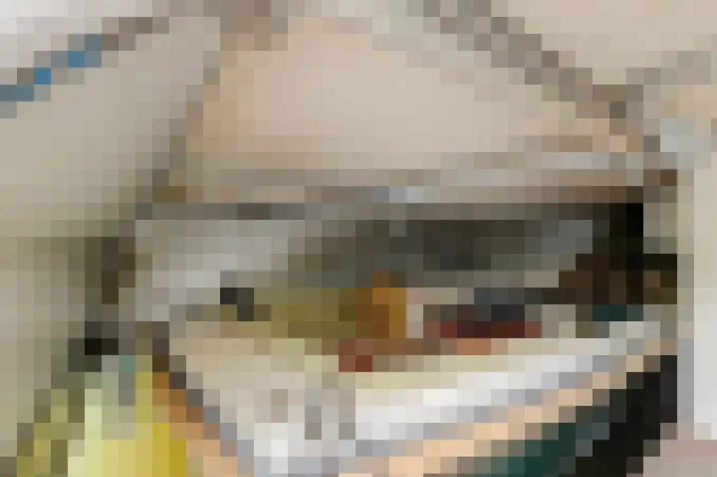 Schaarweide 1 Reeuwijk thumbnail 52