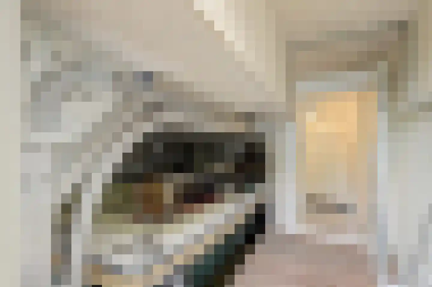 Schaarweide 1 Reeuwijk thumbnail 53
