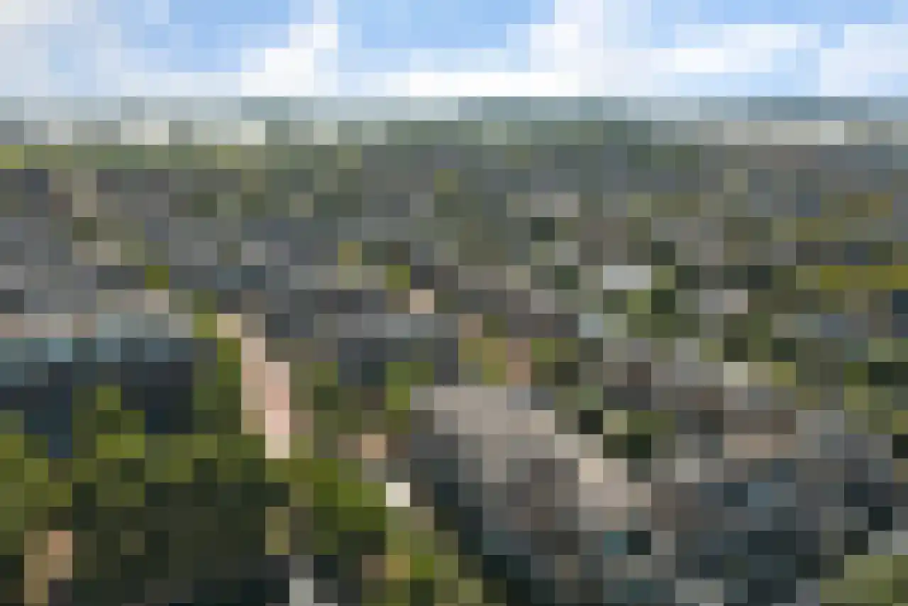 Schaarweide 1 Reeuwijk thumbnail 53