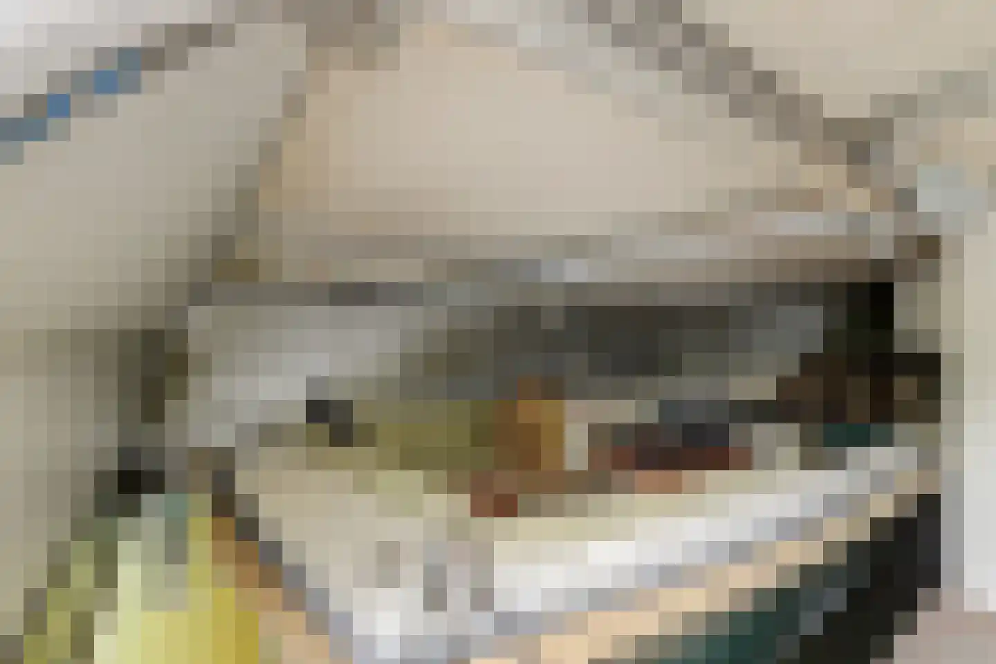 Schaarweide 1 Reeuwijk thumbnail 54