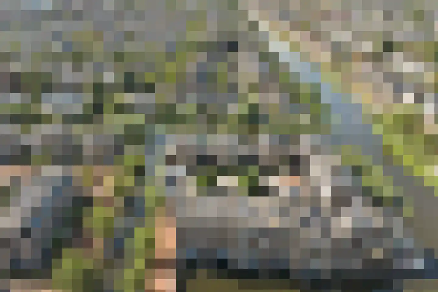 Schaarweide 1 Reeuwijk thumbnail 63