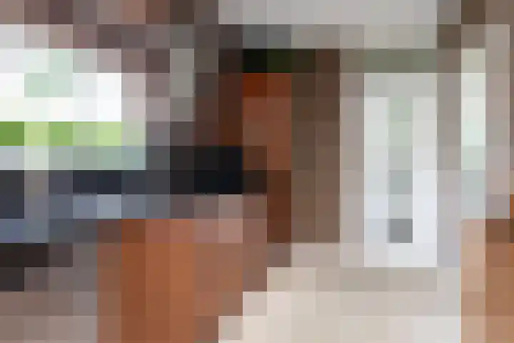 Schaarweide 10 Beuningen Gld thumbnail 10