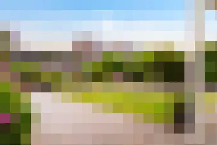 Schaarweide 10 Beuningen Gld thumbnail 17