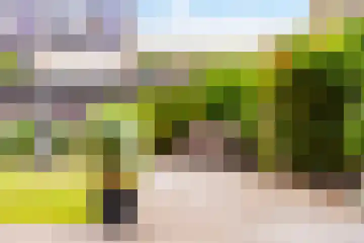 Schaarweide 10 Beuningen Gld thumbnail 23