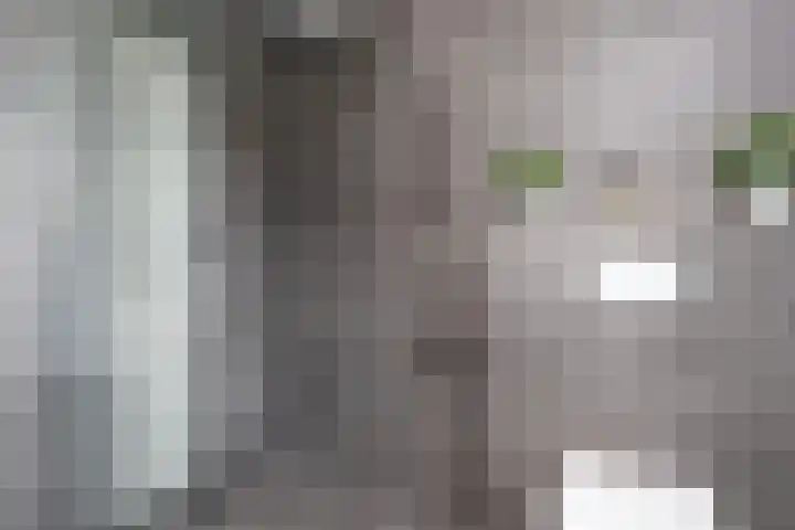 Schaarweide 10 Beuningen Gld thumbnail 27