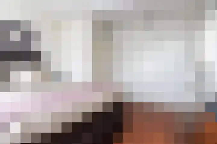 Schaarweide 10 Beuningen Gld thumbnail 30