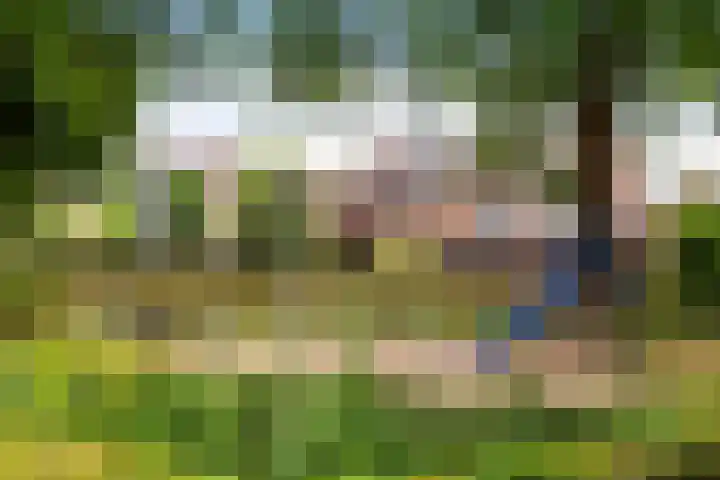 Schaarweide 10 Beuningen Gld thumbnail 36