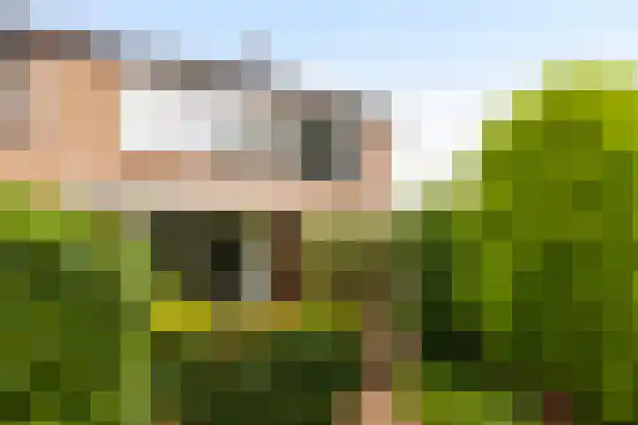 Schaarweide 10 Beuningen Gld thumbnail 5