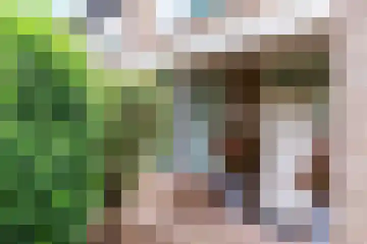 Schaarweide 10 Beuningen Gld thumbnail 6