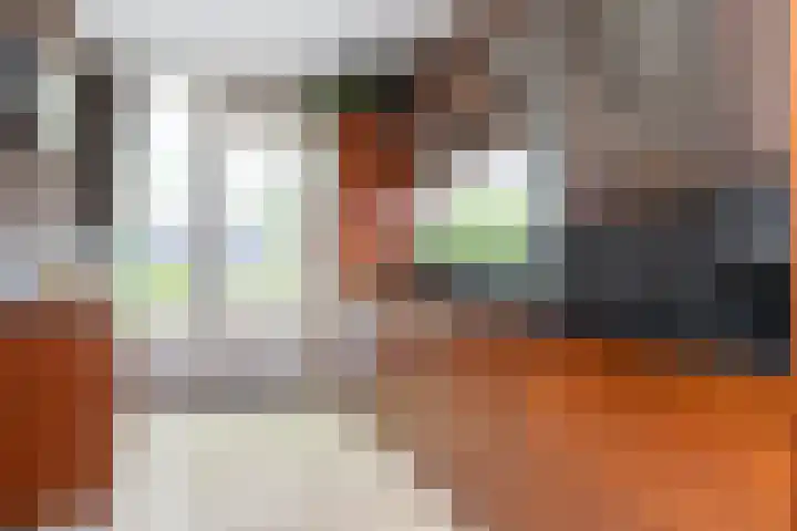 Schaarweide 10 Beuningen Gld thumbnail 9